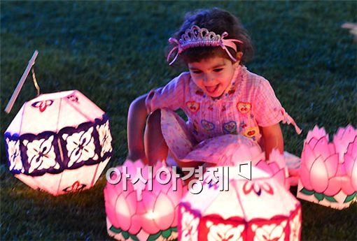 [포토] 연등이 너무 예뻐