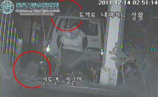 ▲ 지난해 12월 CCTV에 찍힌 승려와 장군이의 모습(출처: 동물사랑실천협회)