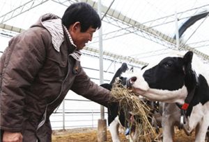 [나는 유·달이다]'유기농 우유' 전도사, 농가소득 30%↑