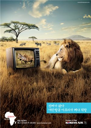 "진짜 아프리카다" 대한항공 신규 CF 공개