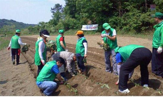 [포토]새마을운동 성동구지회, 농손 일손 도와  