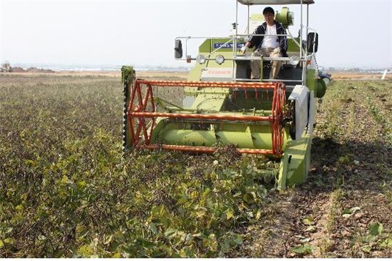 [수입농산물 밀착포커스]중국산 콩·팥·녹두 가격도 줄줄이 오름세