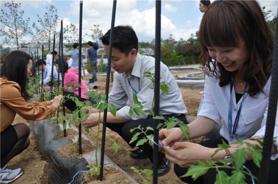 지난 3일 삼성SDI 기흥사업장 임직원들이 소통 텃밭에서 함께 흙을 고르고 토마토, 오이, 고추, 상추 등 다양한 농작물을 심으며 하루를 보내고 있다.