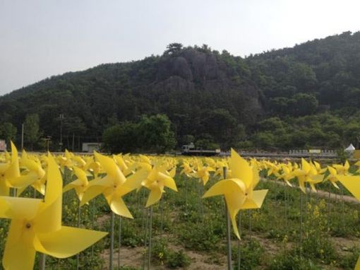 ▲ 봉하마을을 수놓고 있는 바람개비 조형물(출처: 트위터)