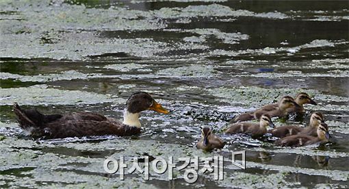 [포토] 얘들아 같이 가