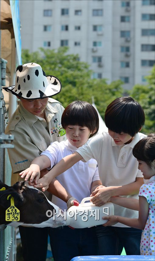 [포토] "송아지 우유주기, 재미있어요~"