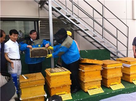 박원순 "벌꿀 첫 수확"..도시 농업 즐거움 '체험'