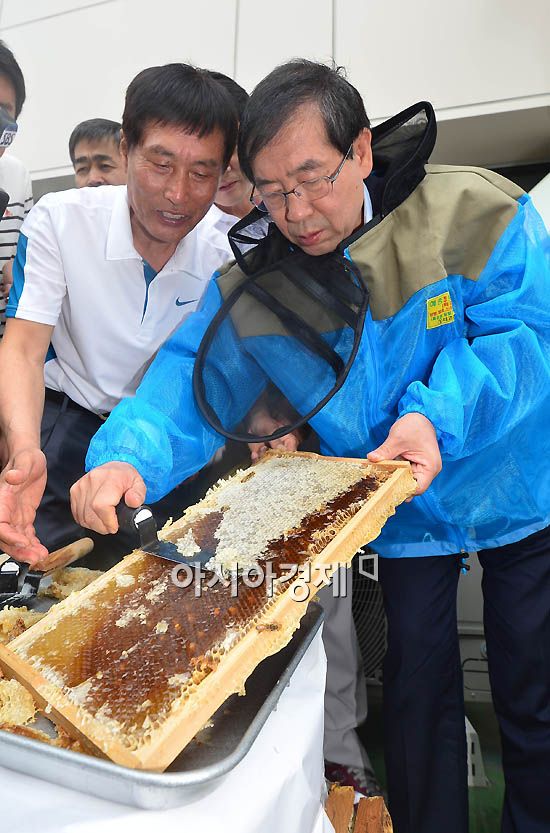 [포토] 꿀 따는 박원순