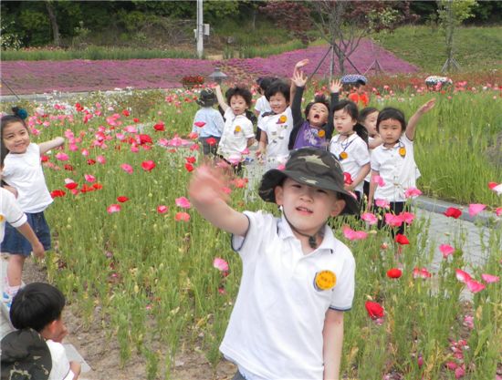 어린이들이 청양고추문화마을에 핀 5만여 송이의 양귀비꽃을 돌아보고 있다. 