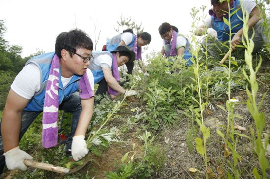 삼성 신입사원들이 지난 6일 경기 용인시 소재 연꽃마을 용인노인요양원에서 잡초제거를 하고 있다. 