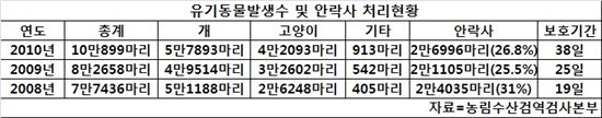 허술한 애완견 등록제·· "고양이가 더 문제"　