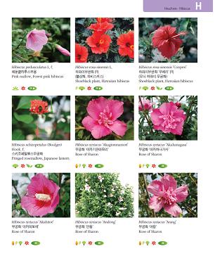 “무궁화 주세요”해서 원하는 무궁화 얻을 확률은 0.5%