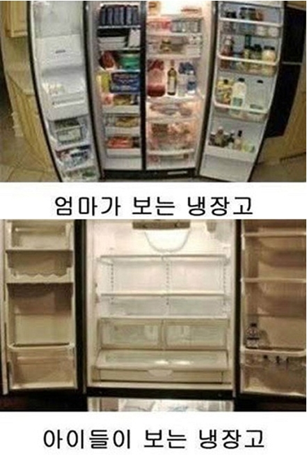 엄마와 아들이 보는 냉장고 (출처: 온라인 커뮤니티) 