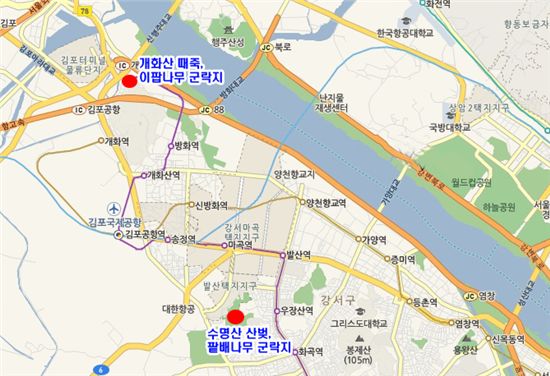 토작수종 군락 위치도 