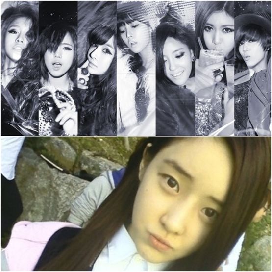 The original T-ara members (top) and the 8th new member Areum (bottom) [Core Contents Media]