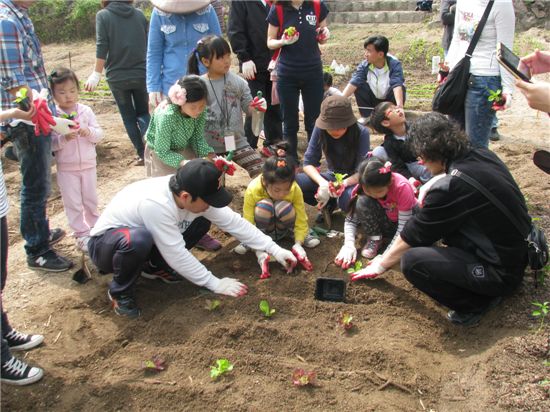 종로구, '도심 속 농사이야기 Farm Story' 운영 