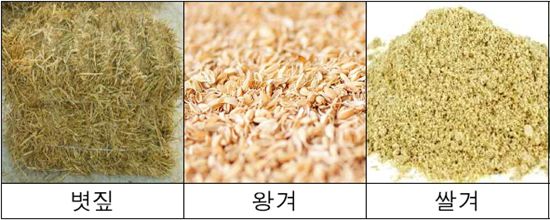 메주를 볏짚으로 묶는 이유