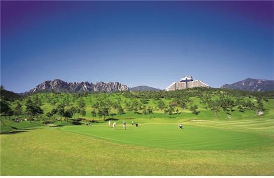 대명리조트 4인 평생회원권분양!! 골프, 스키, 오션월드를 회원   권 하나로!