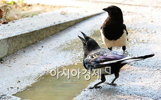 [포토] 물 맛 좋다~