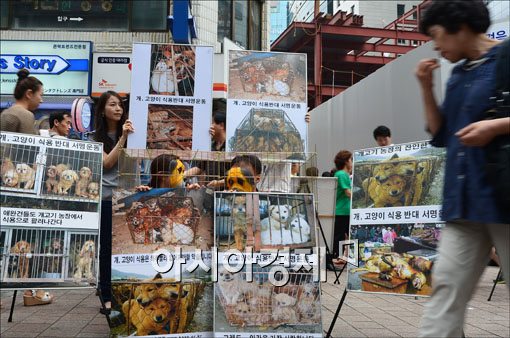 [포토] 개, 고양이 식용반대 퍼포먼스