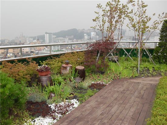 강북구,  민간건물 옥상녹화 사업 추진 