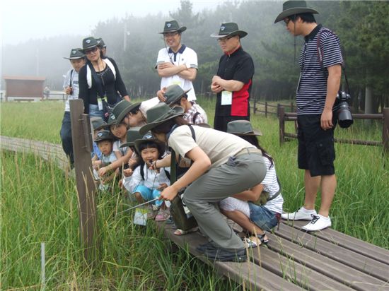 태안해인국립공원 생태관광 참가자들이 사구식물을 관찰하고 있다. 