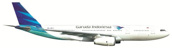 가루다인도네시아항공, 항공기 두 배 늘린다