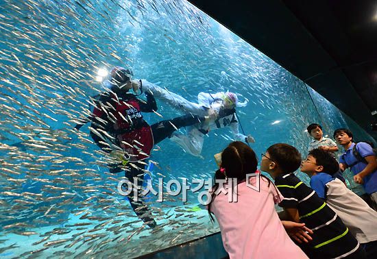 [포토] 물 속 나래차기