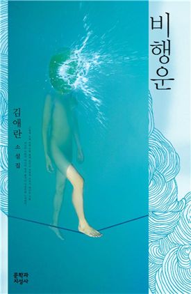 비행운/ 김애란 지음/1만2000원/문학과 지성사 