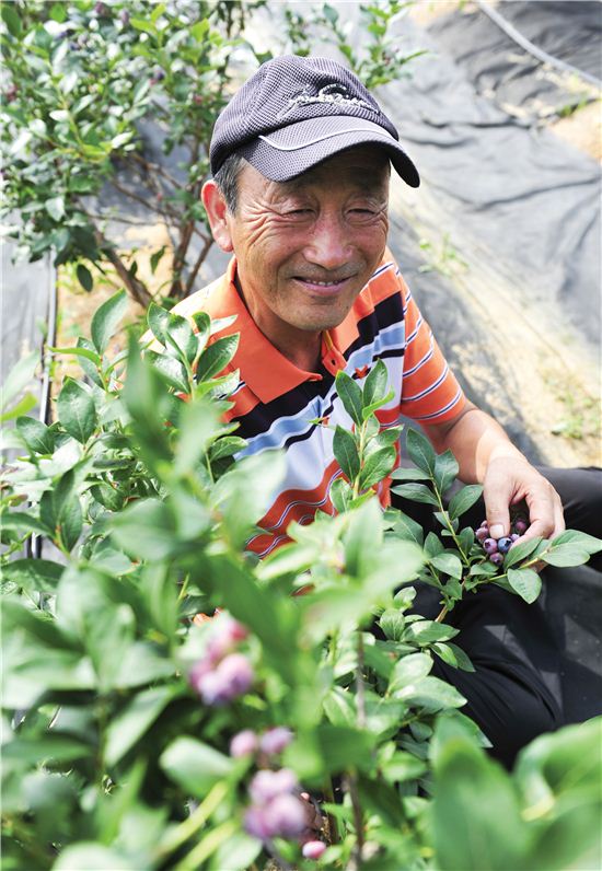 [당당한 인생2막 50+]“길 깔고 개간에만 6년준비, 이젠 블루베리 인생 꽃피웠죠”