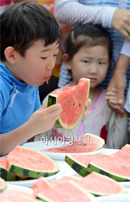 31일 오전 서초구 양재천 수영장에서 열린 수박빨리먹기대회에 참가한 한 어린이가 신나게 수박을 먹고 있다.
