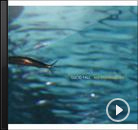 초 작가│개, 고양이와 함께 듣는 음악