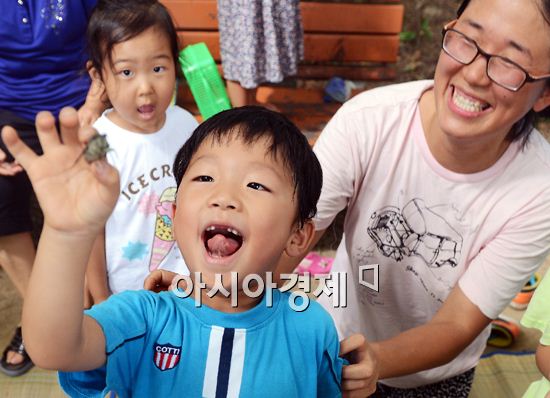 [포토]매미, 하나도 안 무서워~