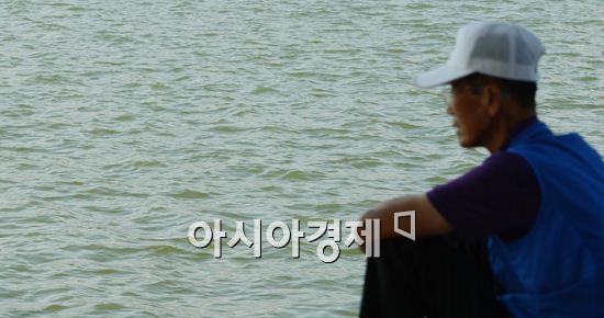 [포토] 한강 녹조 증식