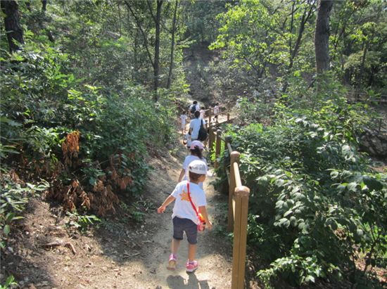 용산구, 응봉공원 유아숲체험장 개방