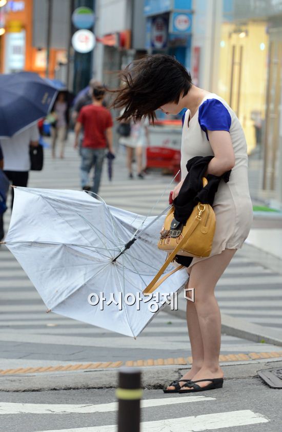 [포토] 태풍 볼라벤 북상, 강풍에 뒤집어진 우산