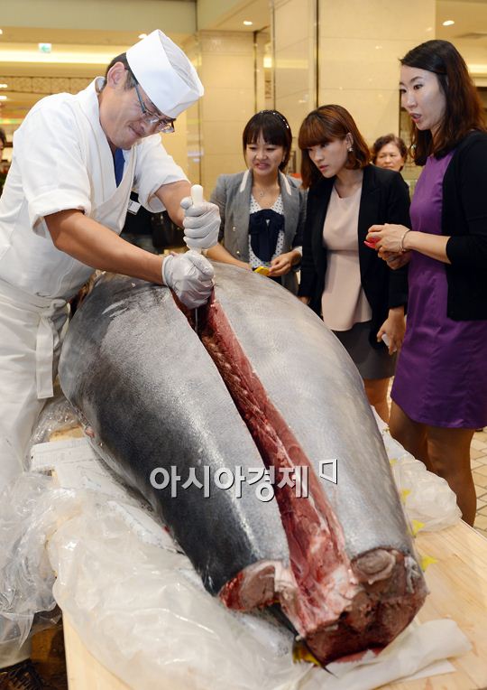 [포토] 250kg 대형참치 해체쇼