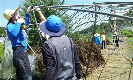 법제처, 태풍피해 주민 일손돕기