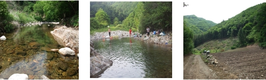 홍천 수익형농원 ▶관리지역 661㎡ 1000만원대 파격분양!!