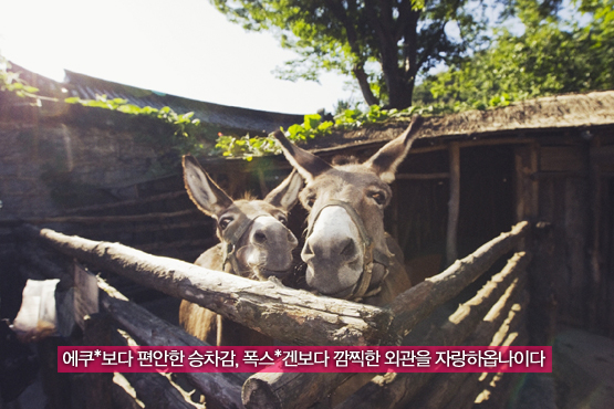 한국민속촌│여기가 김수현, 박유천이 밟았던 그 곳이옵니까
