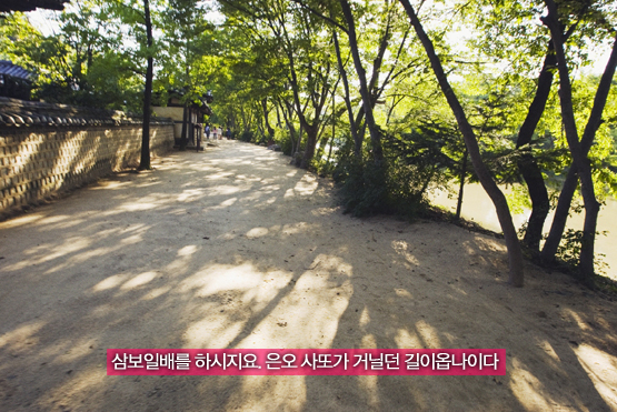 한국민속촌│여기가 김수현, 박유천이 밟았던 그 곳이옵니까