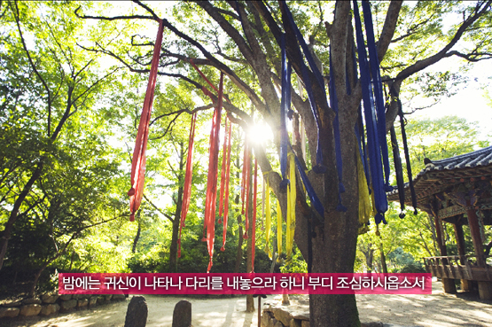 한국민속촌│여기가 김수현, 박유천이 밟았던 그 곳이옵니까