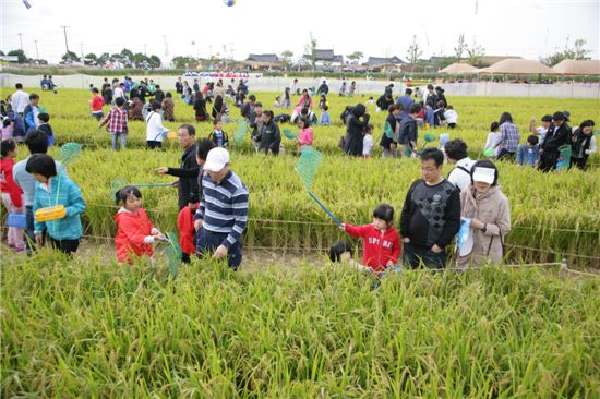 김제 지평선축제