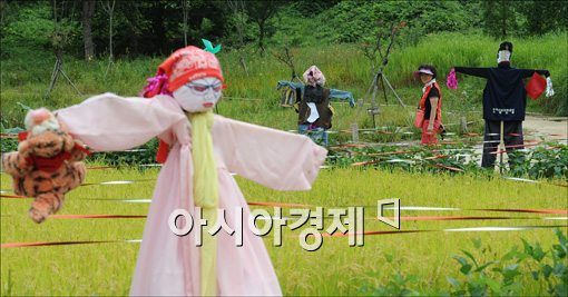[포토]한 인상하는 허수아비