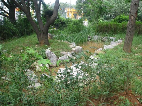 인천 백석초등학교 등 8곳 ‘학교 숲의 모범’