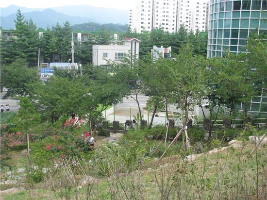 인천 백석초등학교 등 8곳 ‘학교 숲의 모범’