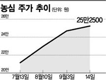 농심, 26만원 고지 넘을까 