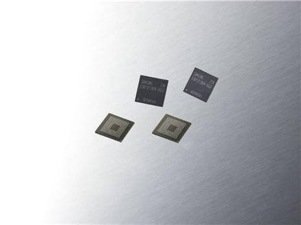 삼성전자는 18일 대만 타이베이에서 열린 '삼성 모바일 솔루션 포럼 2012'에서 지난 8월부터 차세대 2GB LPDDR3 모바일 D램을 양산했다고 발표했다. 사진은 차세대 2GB LPDDR3 모바일 D램.
 

