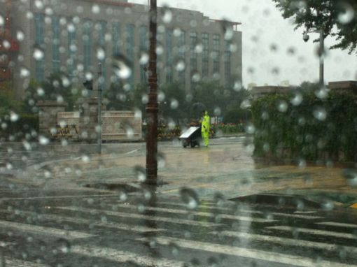 1인시위 장애인 우산 씌워 준 경찰관 '감동'