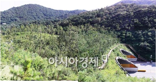 지난 2009년 완공된 인천 계양산과 천마산 사이 '징매이 생태통로'. 통로 아래로 과거 두 산을 갈라놓았던 간선도로가 지나고 있다. /사진제공=인천시